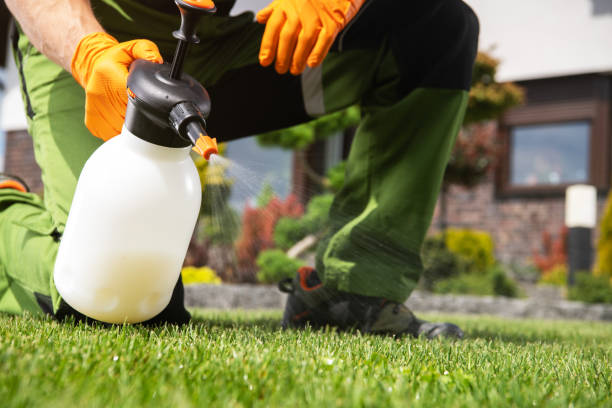 Pest Control Cost in Northville, MI